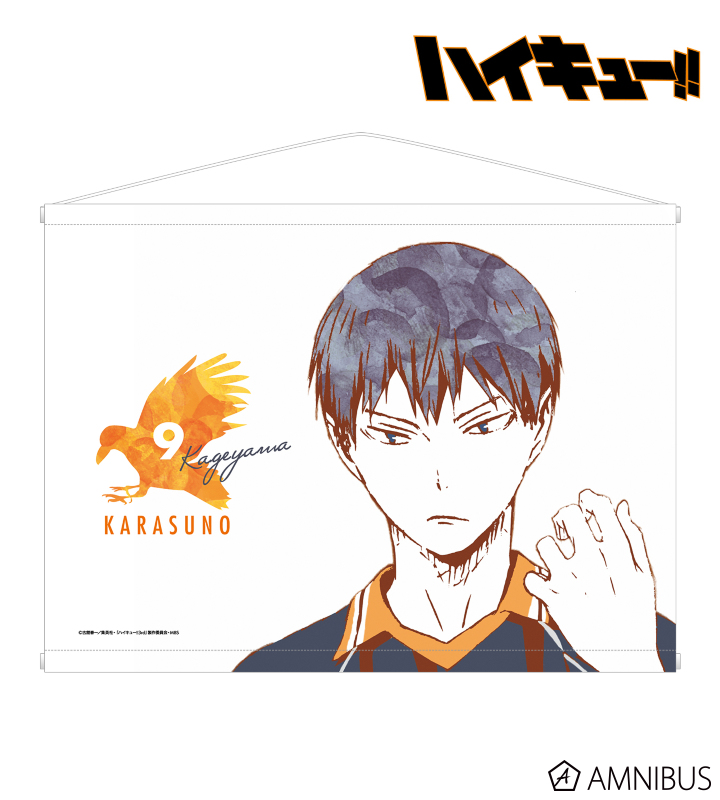 ハイキュー!! - 影山飛雄 Ani-Art タペストリー | AMNIBUS(アムニバス)