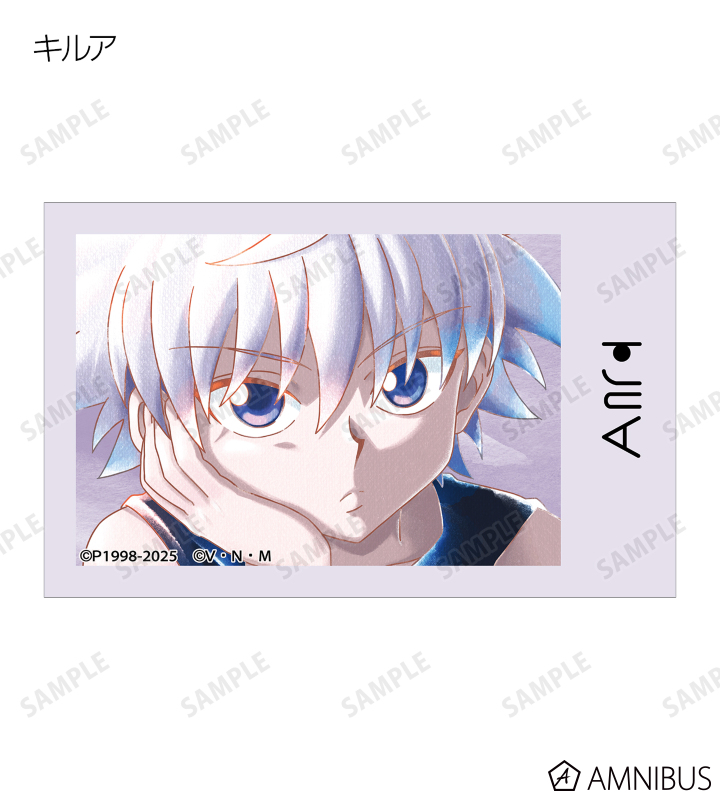非売品カード‼️⑧HUNTER x HUNTER アニメイト 限定カード2枚