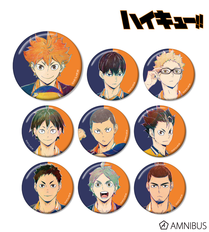 ハイキュー 日向翔陽 アニメイトポイント 景品 特典 缶バッジ 日向翔陽