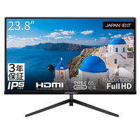 フィリップス 43インチ4K液晶モニター 438P1/11 1台 PHILIPS 大型