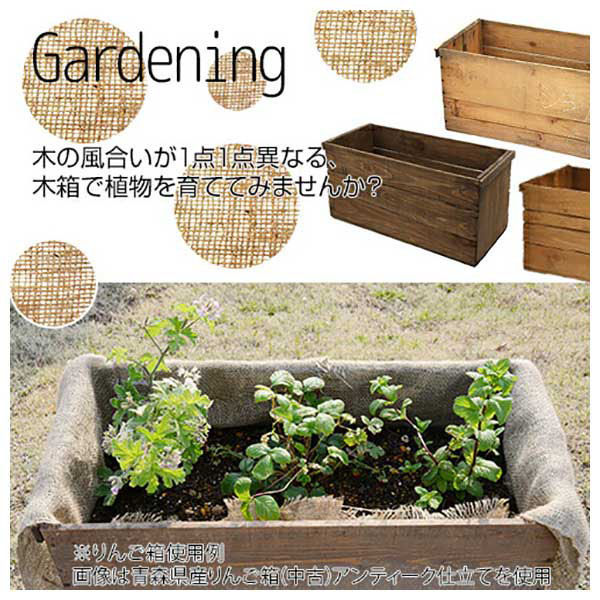 リーフ 新りんご箱+木箱 3点セット 無塗装 213804 1セット（直送品