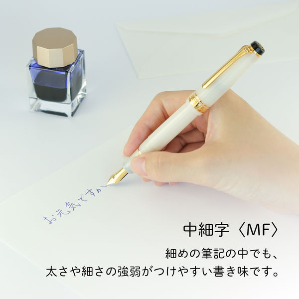 セーラー万年筆 四季織 雪月空葉 名月 万年筆 MF(中細字) 101624303 1