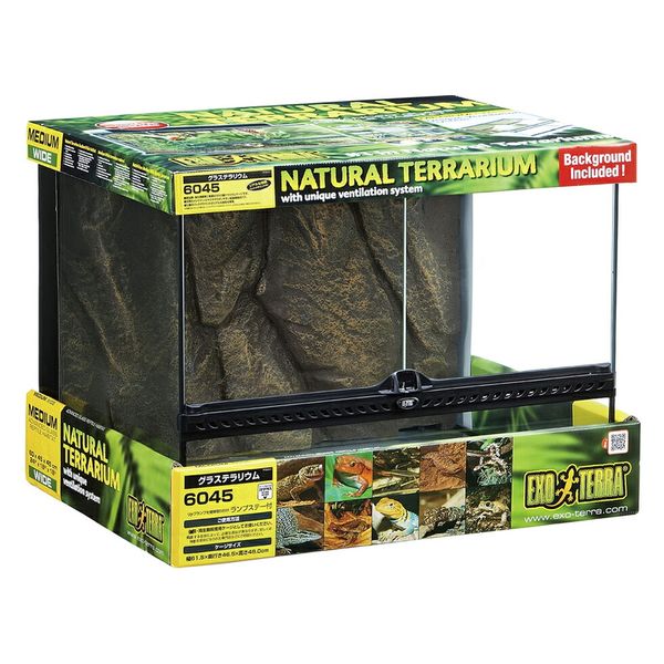 ジェックス GEX エキゾテラ グラステラリウム 6045 49753 1個（直送品