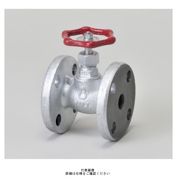 桑名金属工業 マレブル汎用玉形弁【フランジ】 HM10KFGー15A 1個（直送