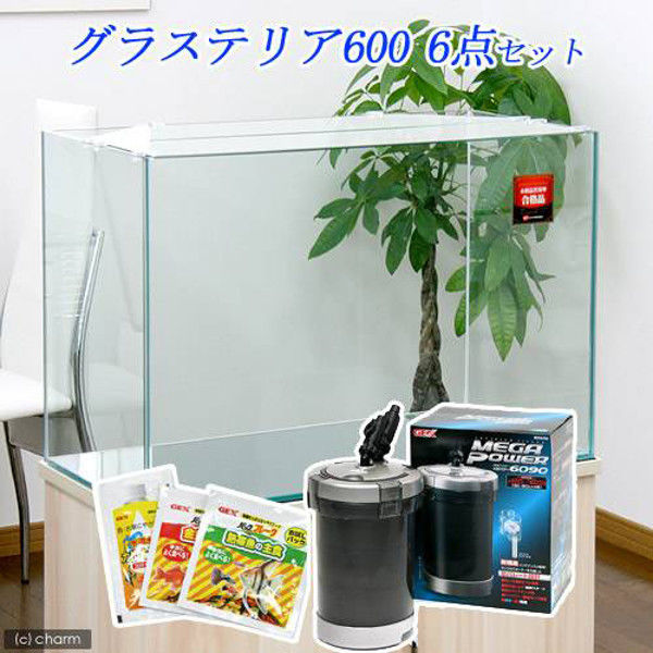 GEX（ジェックス） グラステリア 600 6点セット 60cm水槽セット 初心者