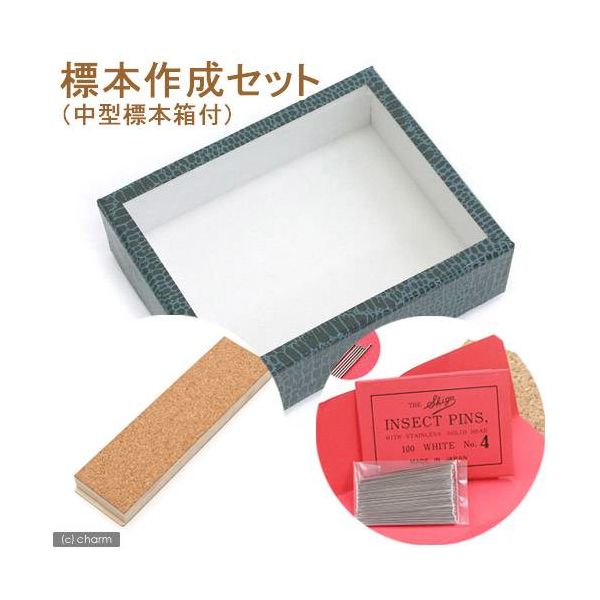 中型標本箱 2箱 【公式通販】