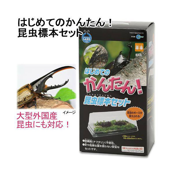 隕石 セット 標本 夏休み 自由研究