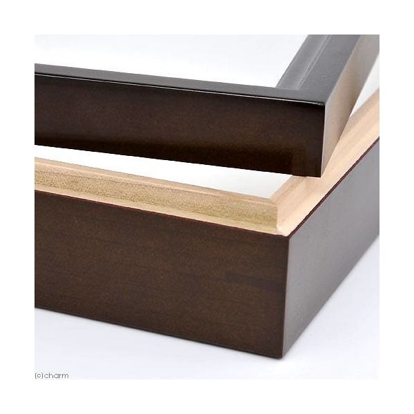 未使用 美品 中型 ドイツ箱 標本箱 5個セット 昆虫 コルク 楽天市場