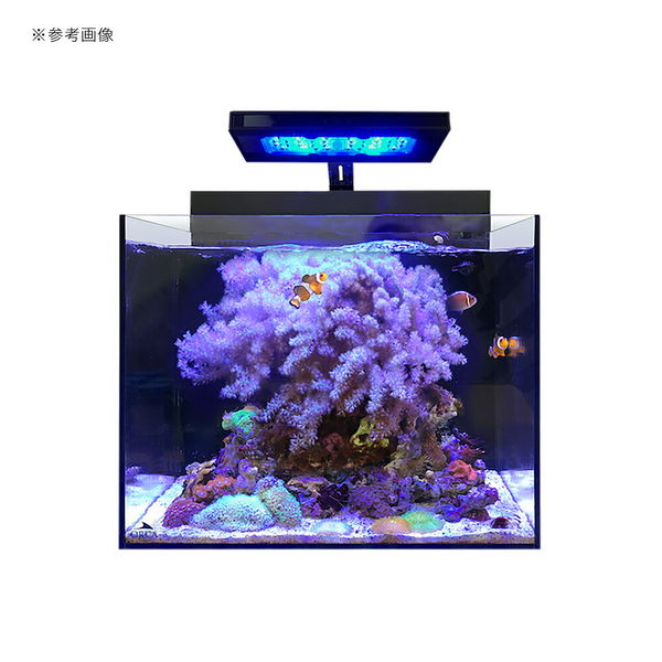 ORCA（オルカ） SHELL2 シェル オールインワンシステムタンク 102627 1