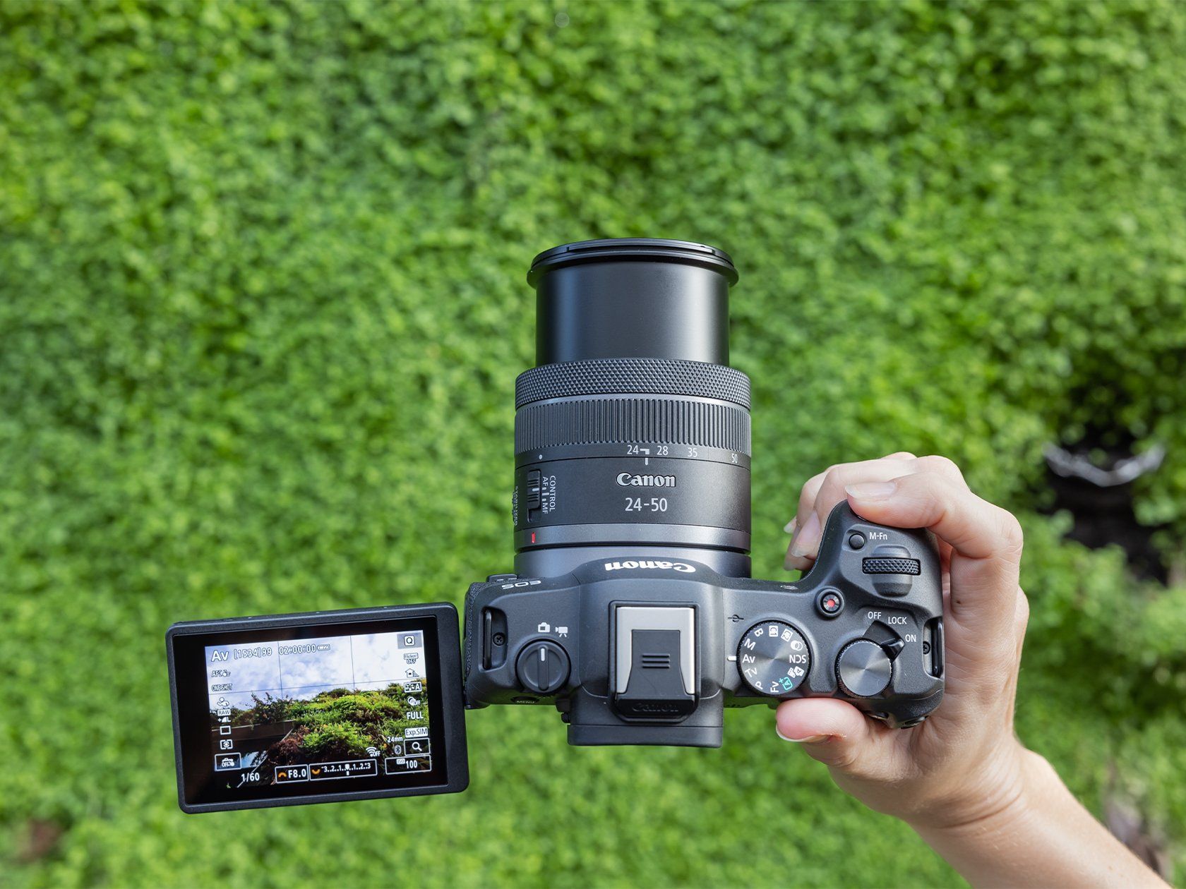 Canon EOS R8 Mirrorless RF 24-50mm - Compact Câmeras - Compact