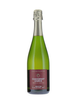 Chassenay d'Arce Champagne for Sale at the Best Price - Buy Wine