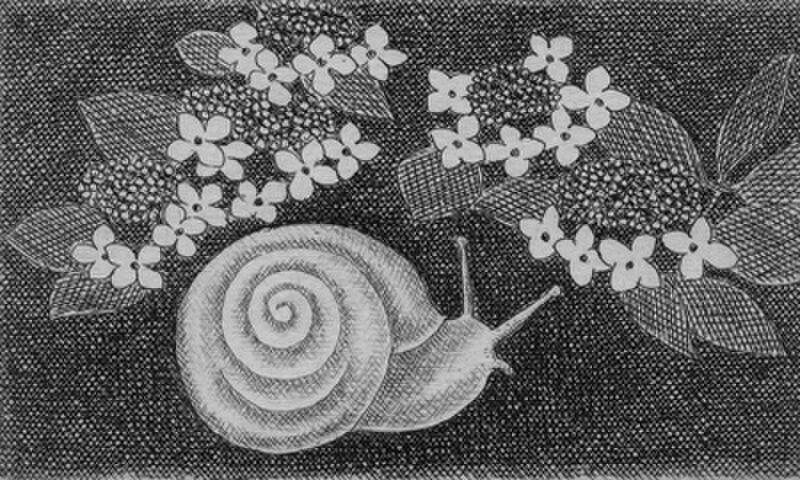 かたつむりと紫陽花/ 銅版画 (作品のみ） | iichi 日々の暮らしを