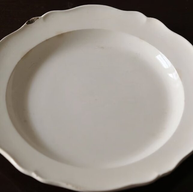 クレイユ CREIL ファイアンスフィーヌ 平皿 花リム ディナー皿 φ23.5cm