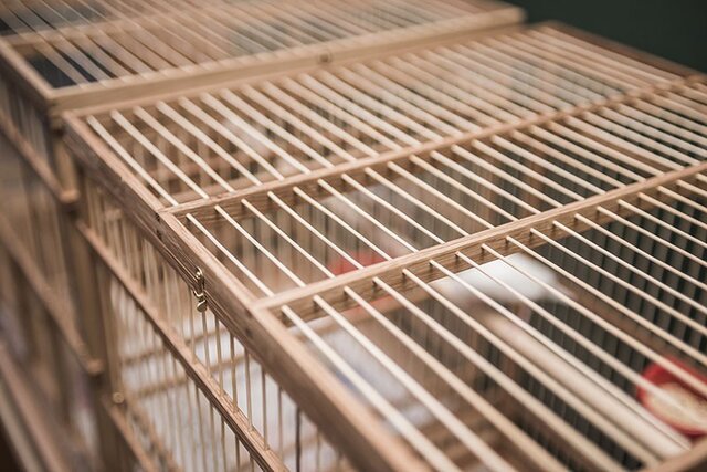 木と竹の鳥かご【サイズオーダー可能です】 | iichi 日々の暮らしを