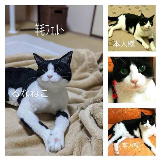 るなねこ 羊毛フェルト リアル オーダーページ | iichi 日々の暮らしを