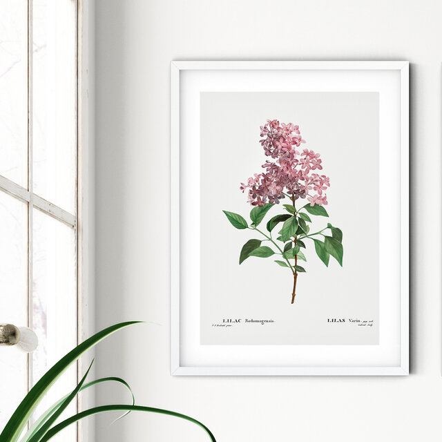 絵画 フラワー フラワーインテリア ボタニカル 花の絵 花柄 花 立体絵