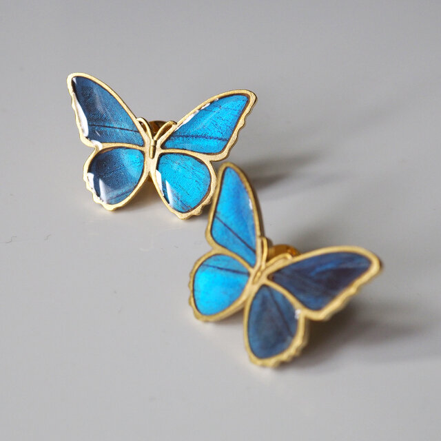 モルフォ蝶のアンティークピンブローチ | iichi 日々の暮らしを