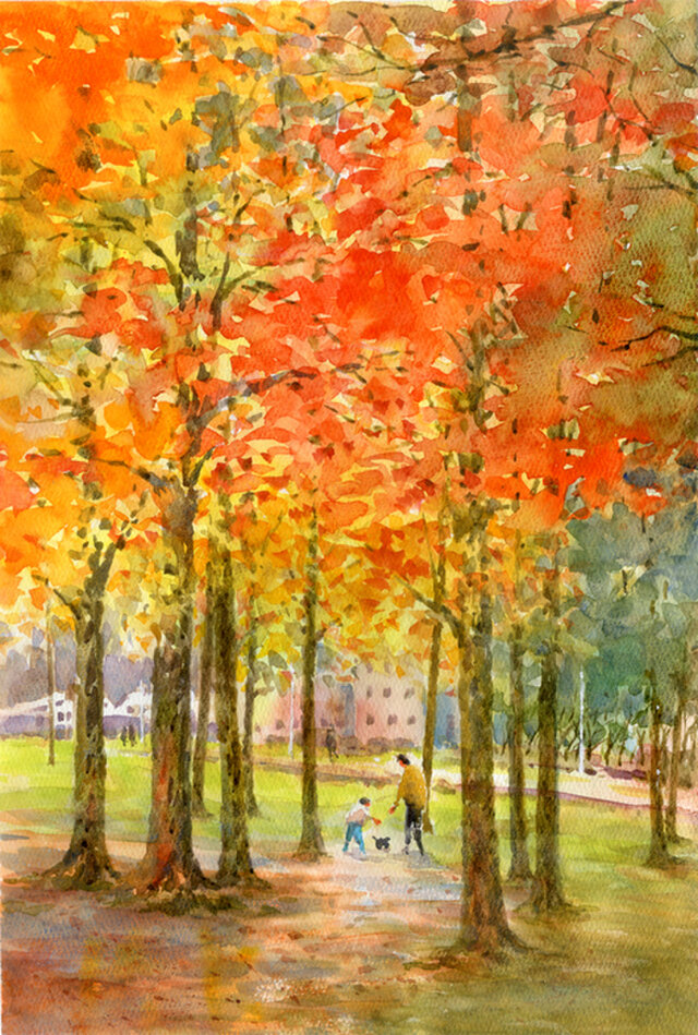 世界的に 秋の公園と爽やかな日差し （透明水彩風景画） public Autumn