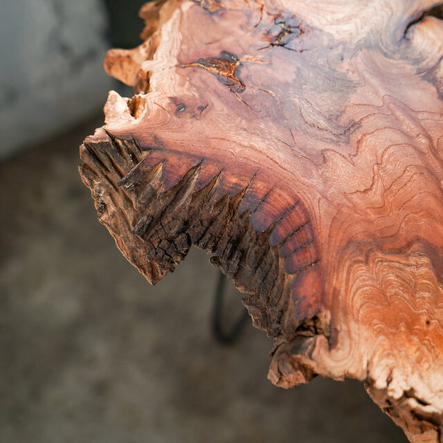 欅の変木 ローテーブル （高さ・カラー変更無料） | iichi 日々の