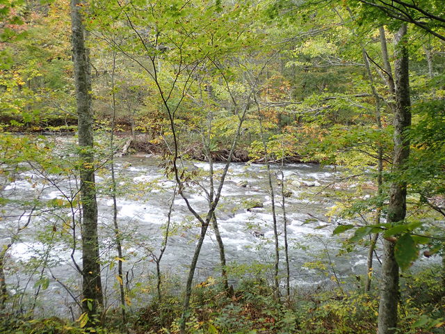 奥入瀬渓流の紅葉】アクセス・営業時間・料金情報 - じゃらんnet