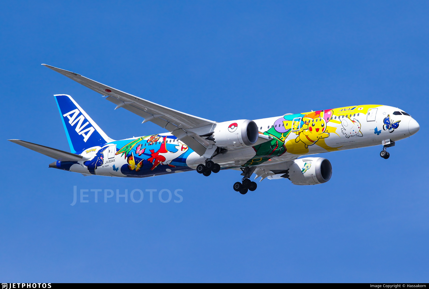 ANA B787-9 JA894A Pokemon はと ANA B787-9 JA894A Pokemon はと