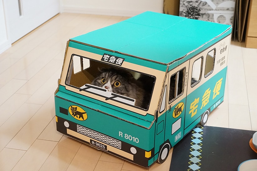 クロネコヤマト ウォークスルーボックス ダンボール 2枚 【公式通販】