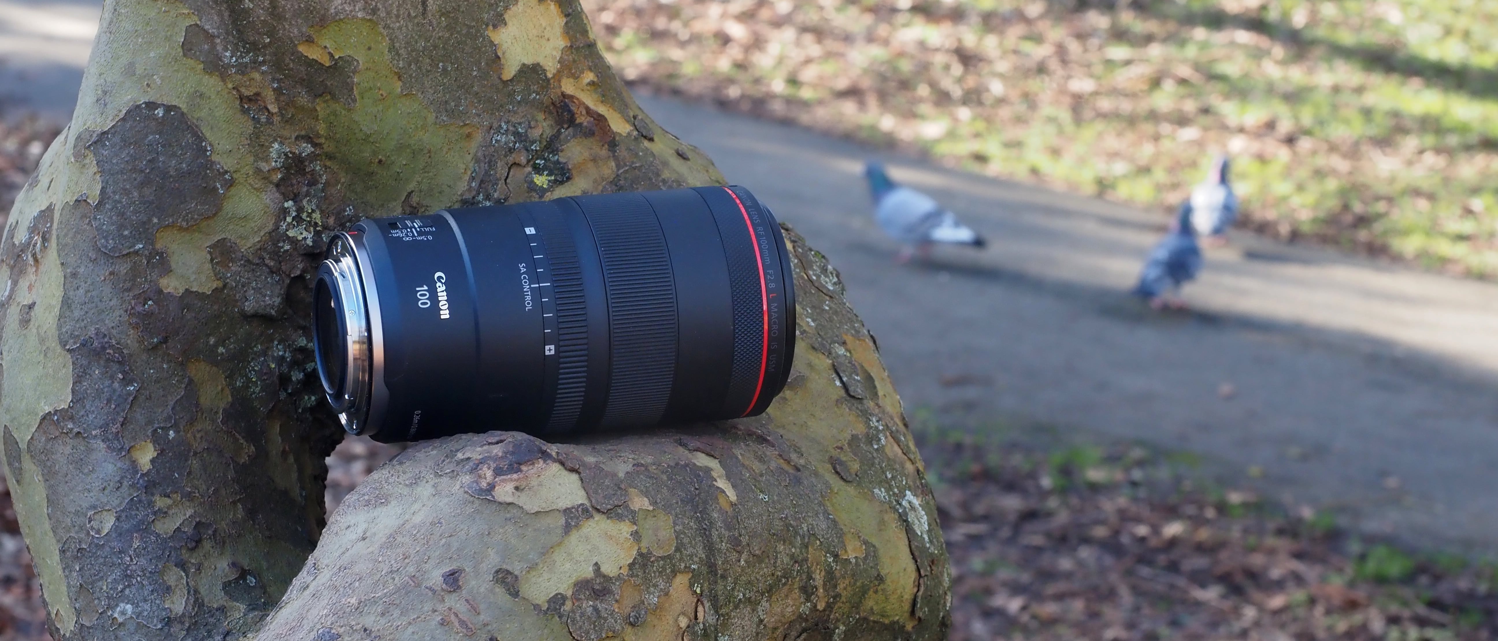 Canon RF 100mm F2.8L Macro IS USM review - hidden depths | TechRadar