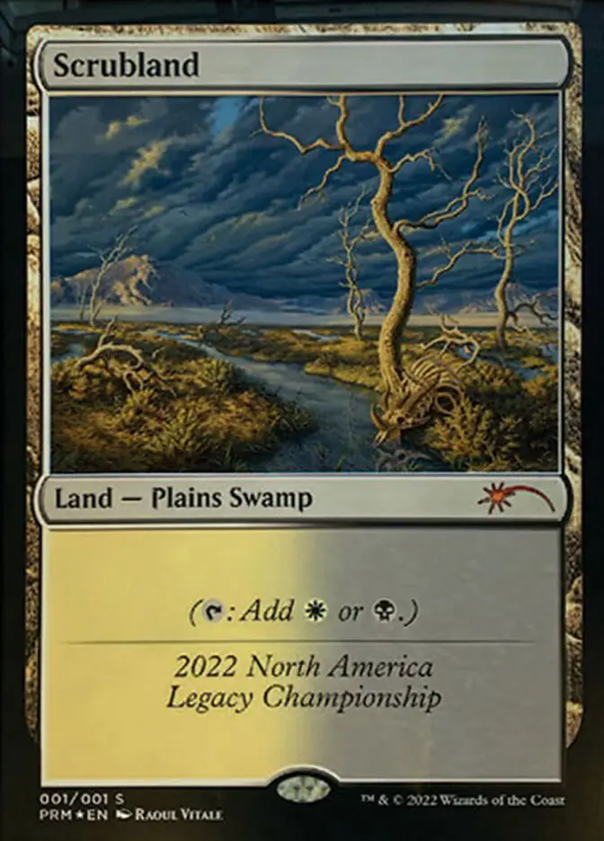 Scrubland (Legacy Championship) #2022B - buy magic cards