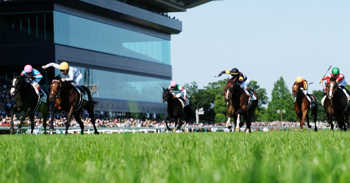 人気SALE，安い ［競馬］ドウデュース（2022年凱旋門賞）応援タオル