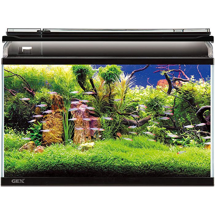 GEX マリーナ600BKST LED&デュアルクリーンセットの通販｜水槽｜魚用品
