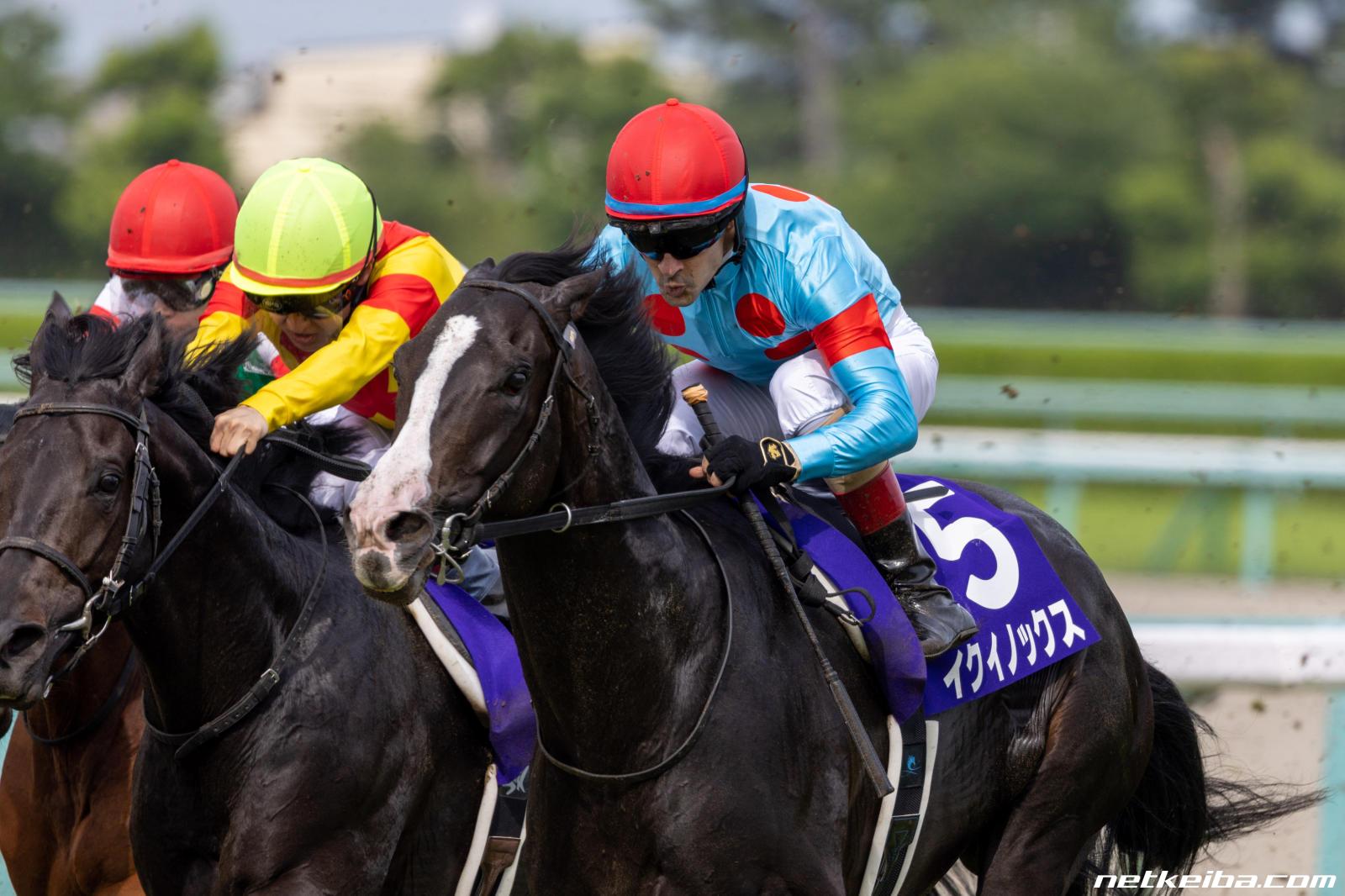 イクイノックス 実使用 調教 蹄鉄 鬣 一本付き ② イクイノックス】実