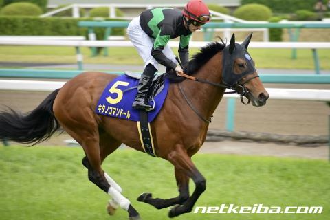 キタノコマンドール 全出走レース 現地 応援馬券
