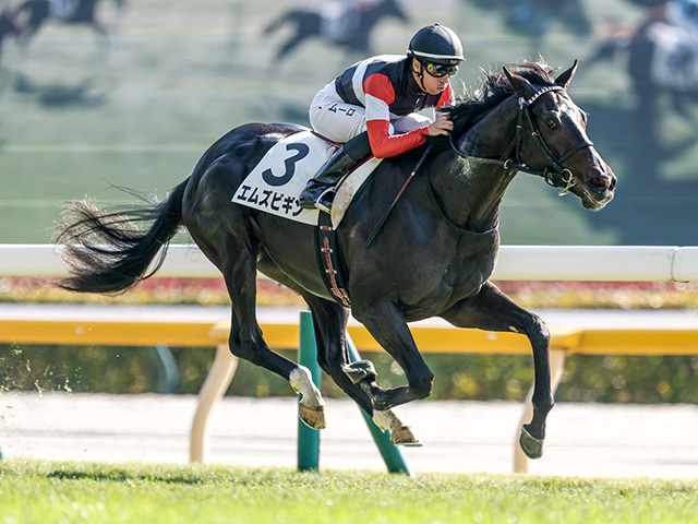 セレクトセール2025】リバティアイランド半弟のサートゥルナーリア産駒