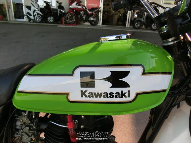 Kawasaki バイクタンク グリーン