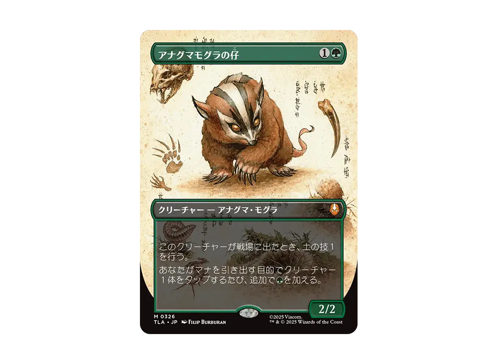 MTG アナグマモグラの仔 ＆ ブーメランの基礎 日本語 セット