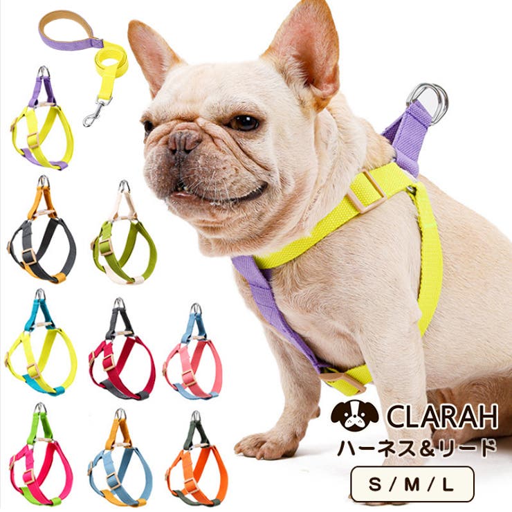 思い出のハーネスとリードハーネスリード