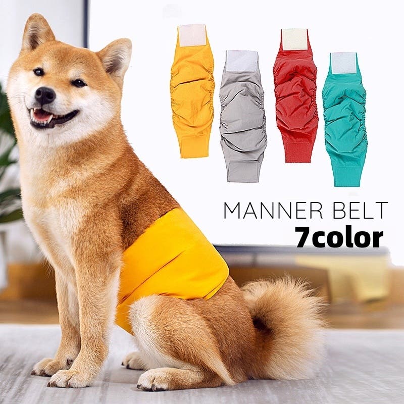 ペット✩犬✩マナーベルトオーダー用 サンプル(確認用)パピヨン ピンク