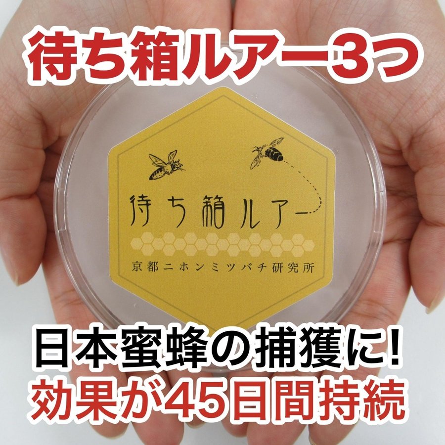 2月16日発送予定】ニホンミツバチ誘引セット！待ち箱ルアー3つと蜜蝋