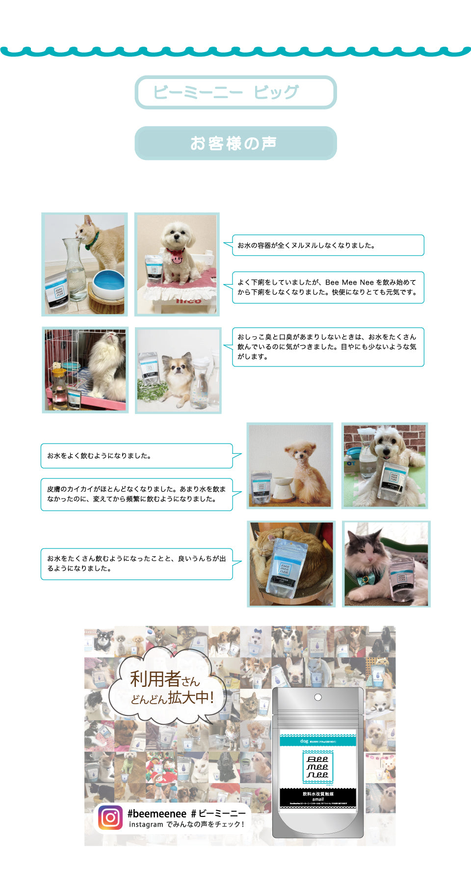 BeeMeeNee ビーミーニー 飲料水改質触媒 ビッグ dog – beemeenee