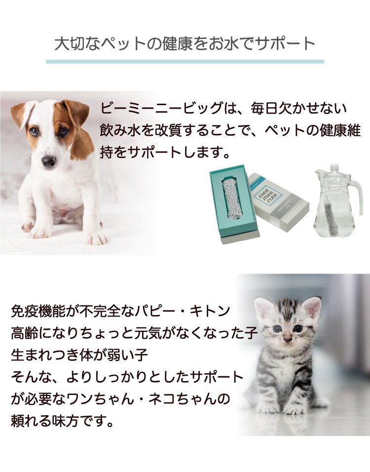 BeeMeeNee ビーミーニー 飲料水改質触媒 ビッグ dog – beemeenee