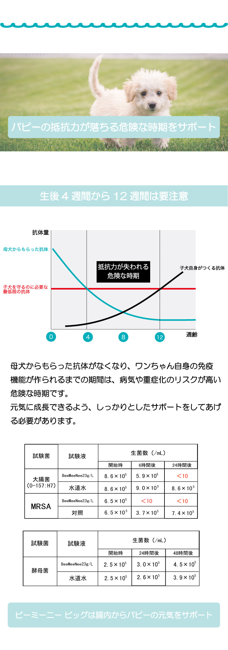 BeeMeeNee ビーミーニー 飲料水改質触媒 ビッグ dog – beemeenee