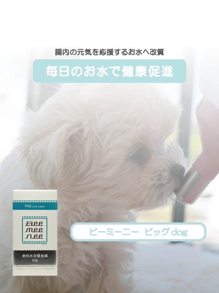 Bee Mee Nee ショップ for dog 23g 水質改善剤 Bee Mee Nee 犬用 水質