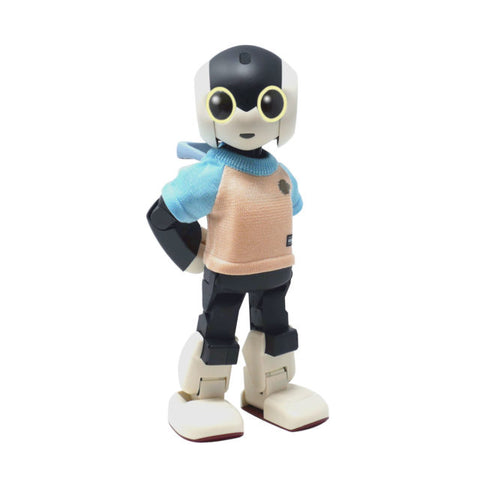 デアゴスティーニの初代Robi組立完成品（キャリングケース＋Robi専用