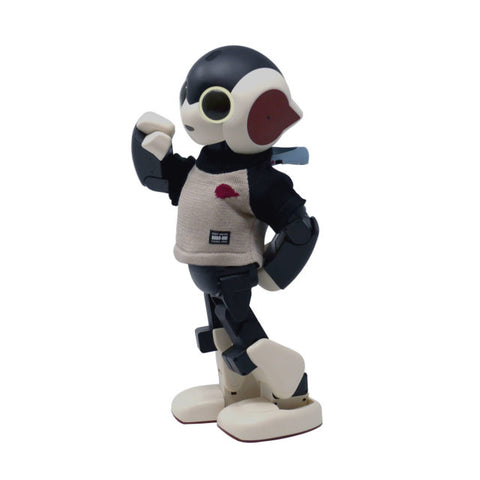 デアゴスティーニの初代Robi組立完成品（キャリングケース＋Robi専用