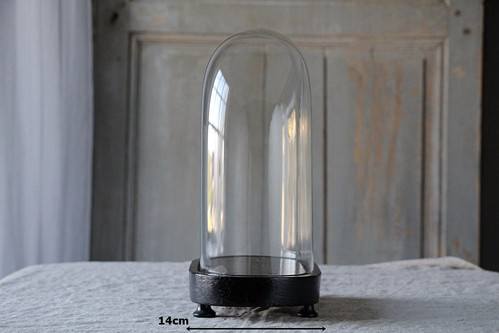 ナポレオントワ（3世）ガラスドーム（高さ30cm） フランスアンティーク