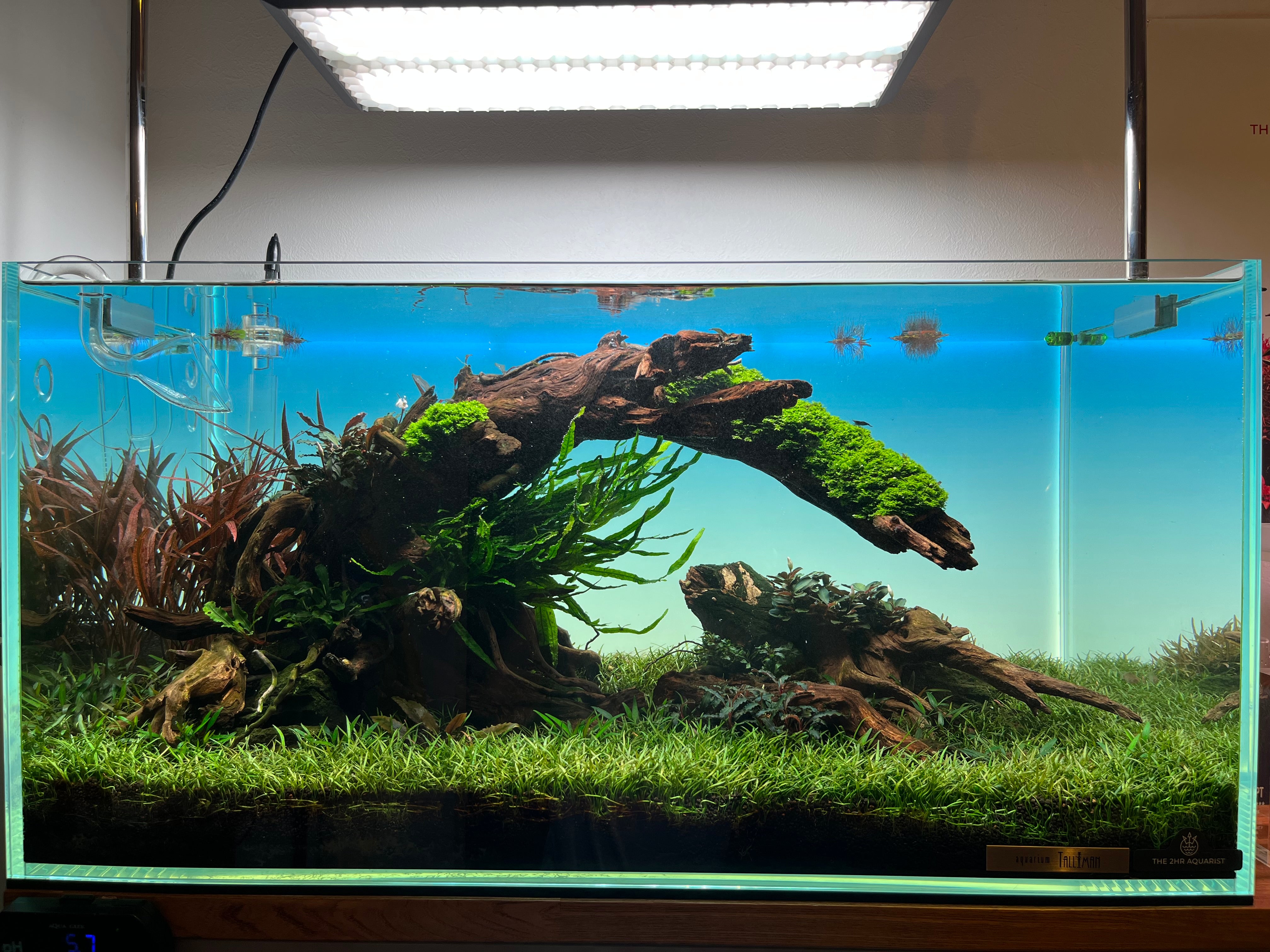 水草水槽の水作り完全ガイド｜APTシリーズで失敗しない立ち上げ方法