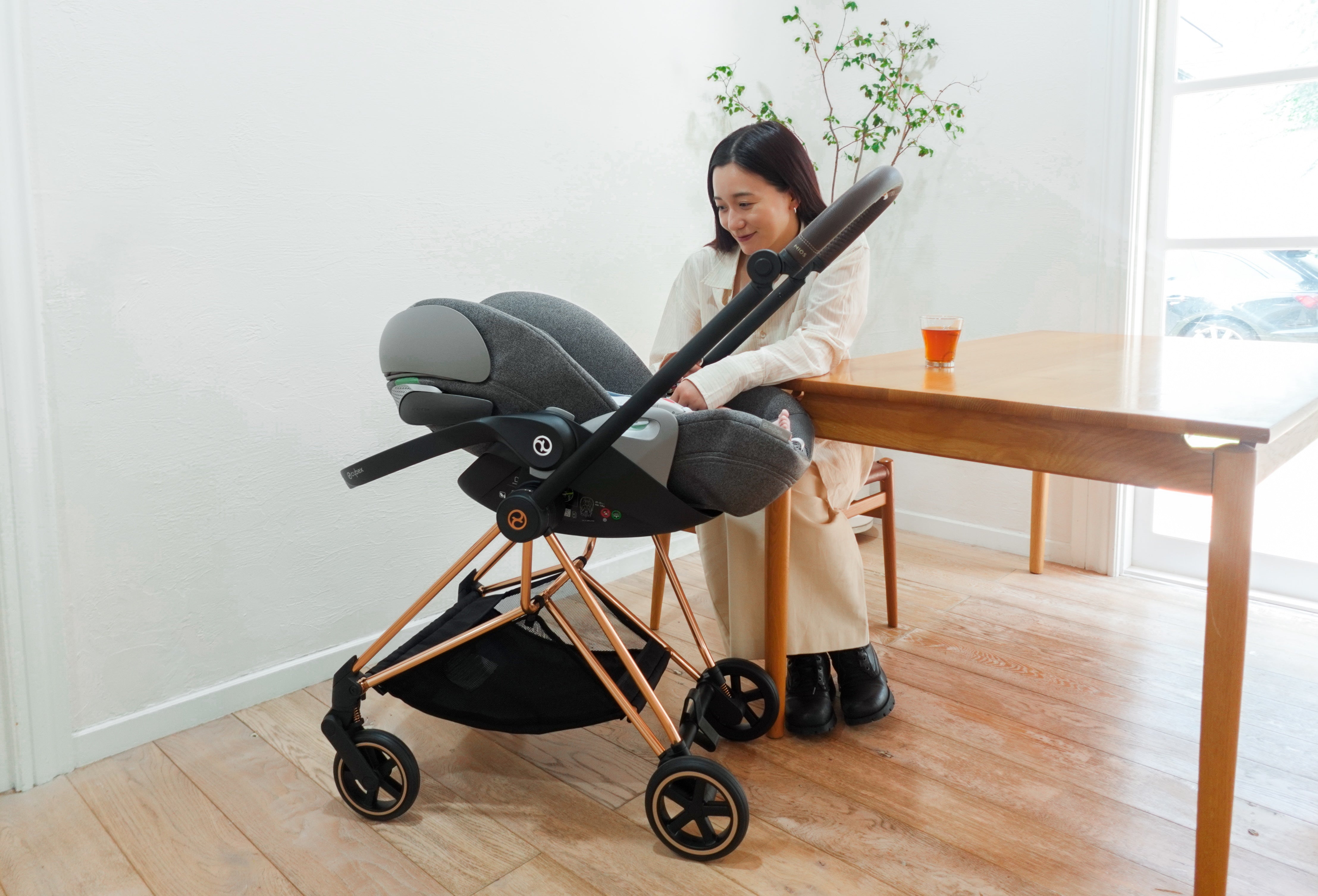 トラベルシステム” – サイベックス公式オンラインストア