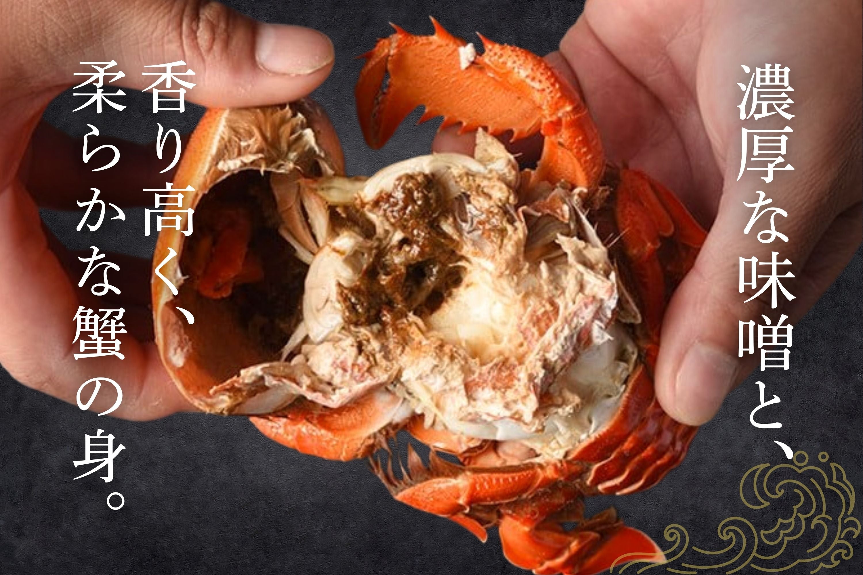 アサヒガニ｜1kg〜 – 豊漁丸-Houryoumaru-