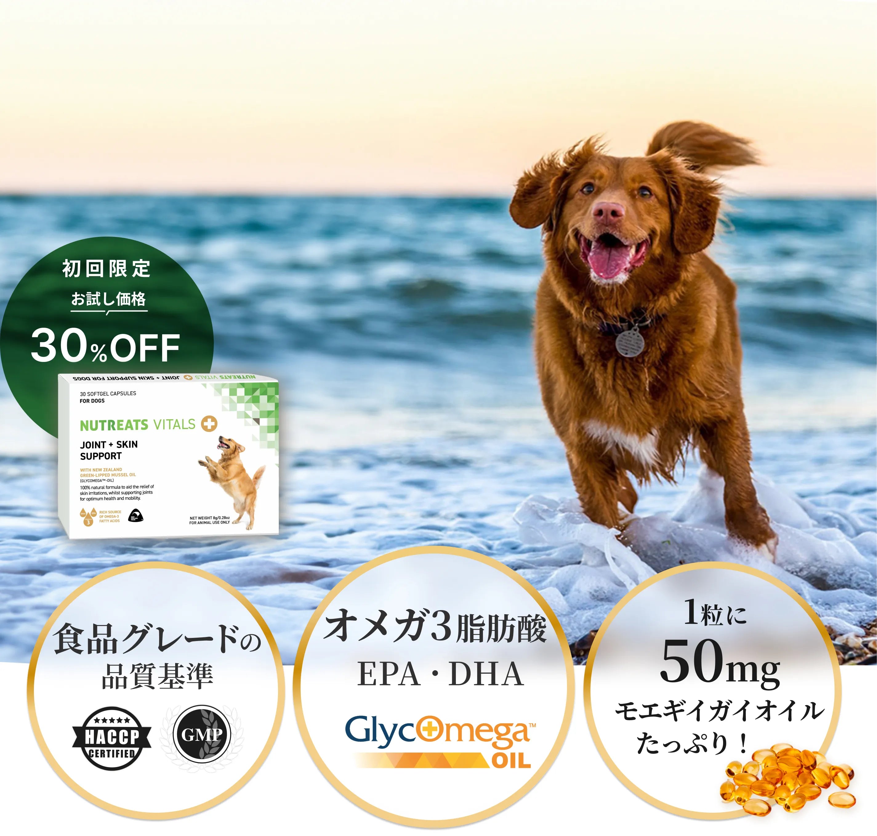 正規品 モエギナール 180粒 正規品 モエギナール 180粒 モエギナール