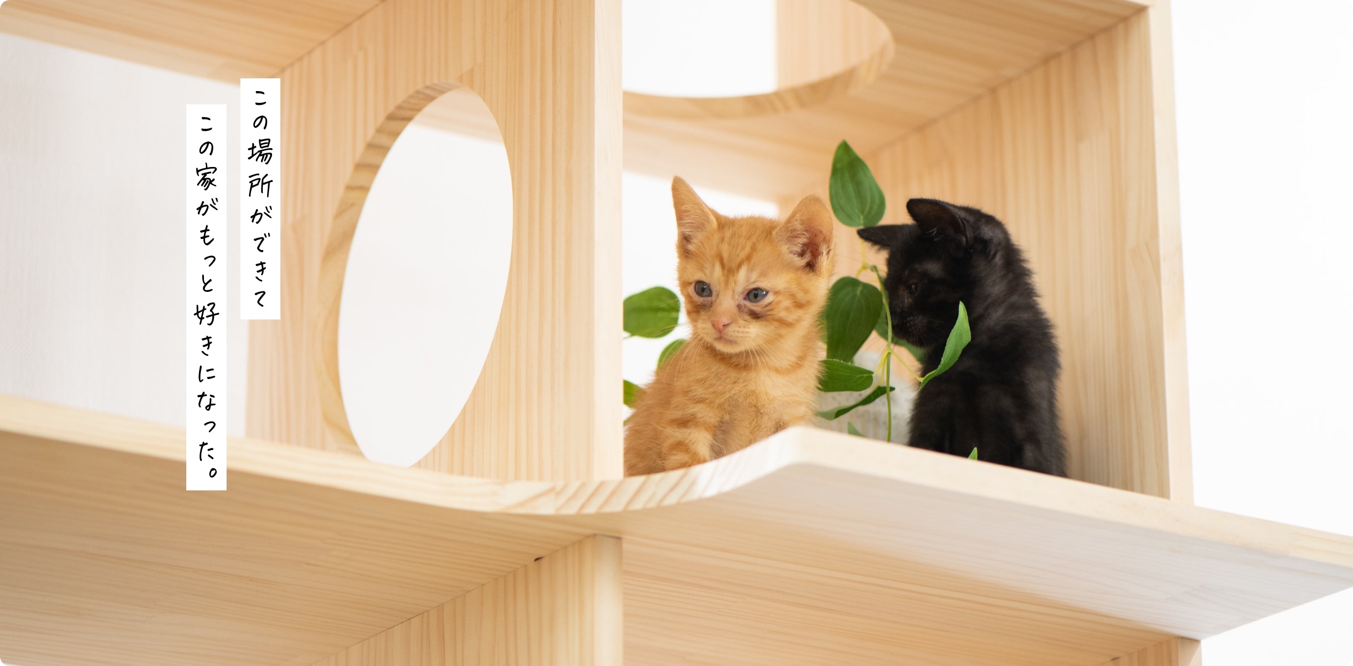 猫のための木工所｜木製キャットウォーク・キャットタワー通販